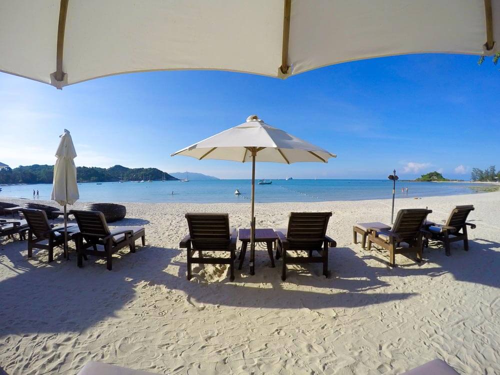 search koh samui guests | website new window | paradise pay