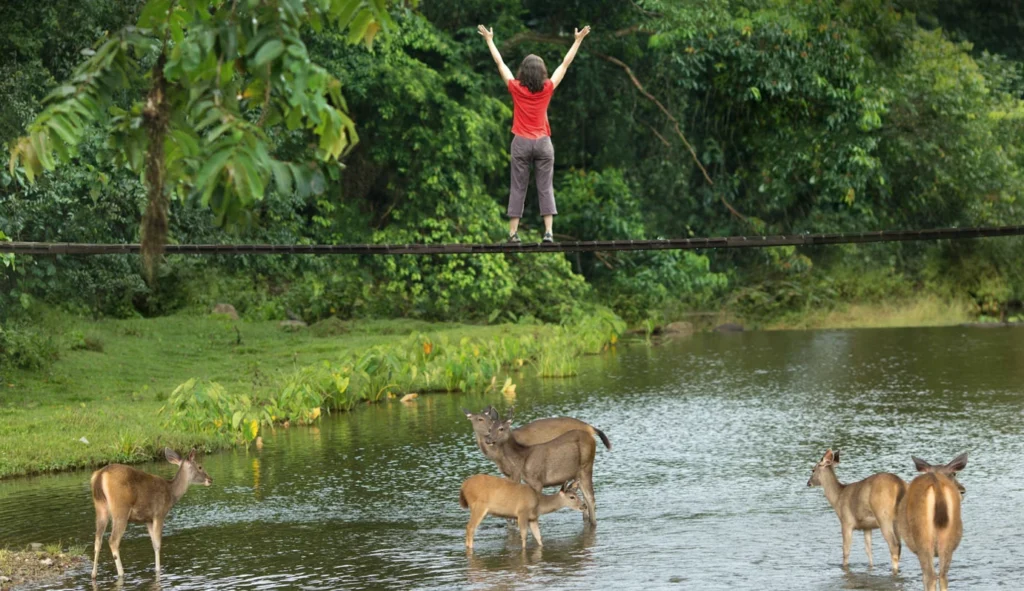 Khao Yai