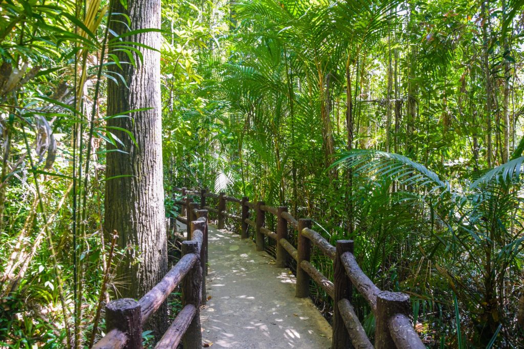 Природный парк Thung Teao Forest