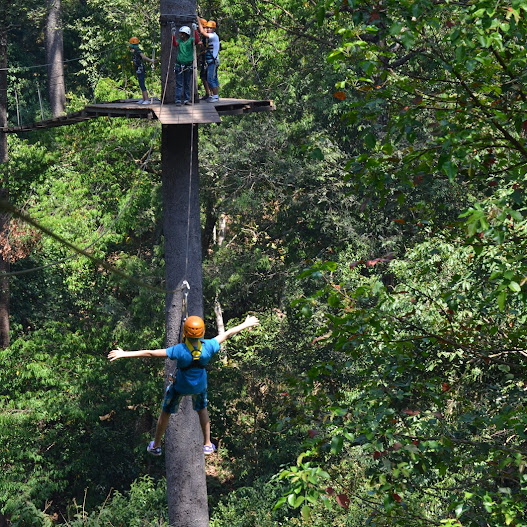 Jungle Flight