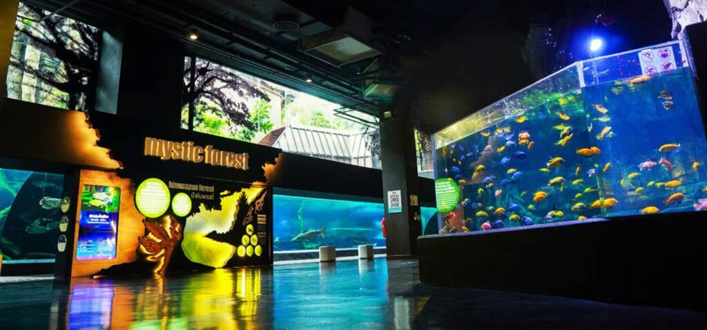 Aquarium and Museum of Illusions